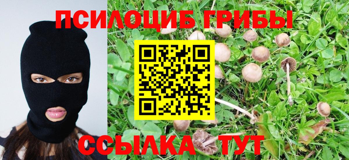 Псилоцибиновые грибы прущие грибы Мытищи