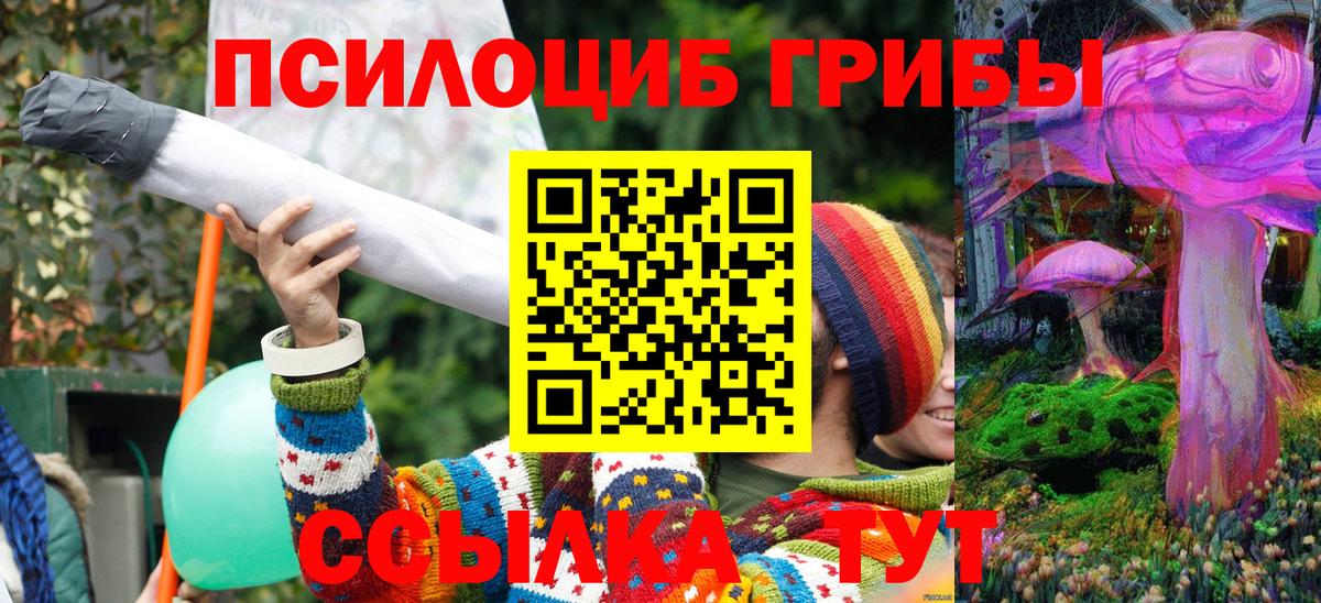 Мытищи  Галлюциногенные грибы мухоморы  Вход с VPN  Галлюциногенные грибы GOLDEN TEACHER 